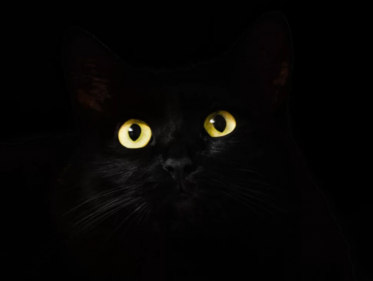 Friday the 13th, the real Black Friday