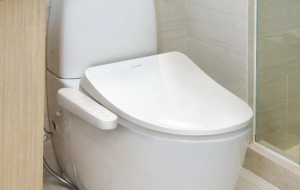 A fűthető, bidés okos WC ülőkével kényelmesen trónolhatunk