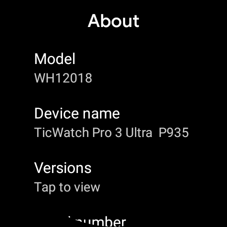 TicWatch Pro 3 Ultra GPS teszt 17