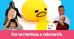Egy kattintásra a szégyentől: a hányós gömbpofi