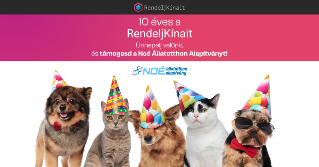 Ünnepelj velünk és segíts a Noé Állatotthon lakóinak! 1