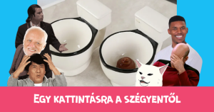 Egy kattintásra a szégyentől: vécé(s)csésze