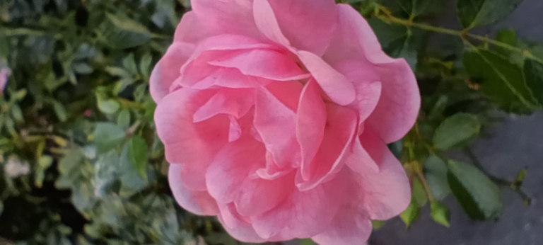Redmi Note 14S okostelefon teszt 54