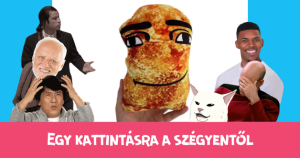 Egy kattintásra a szégyentől: csirkefalat párna