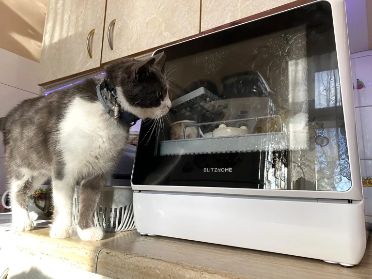 Prueba 1 del lavavajillas portátil BlitzHome BH-CDW28