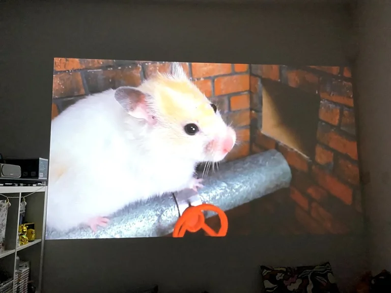 Prueba 1 del proyector Wanbo Mozart 23 Pro