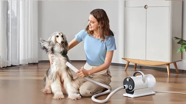 Ultenic P30 Combo pet grooming and drying set test
