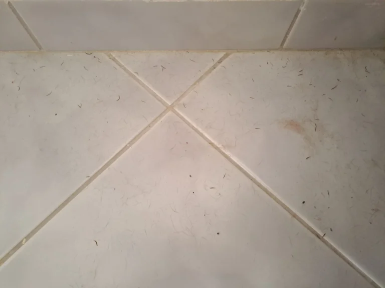 Test 13 de l'aspirateur stationnaire Proscenic P29