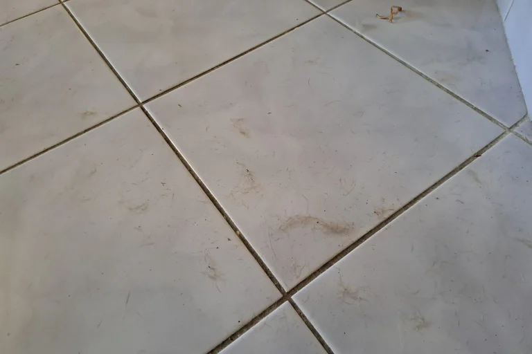 Test 13 de l'aspirateur stationnaire Proscenic P30