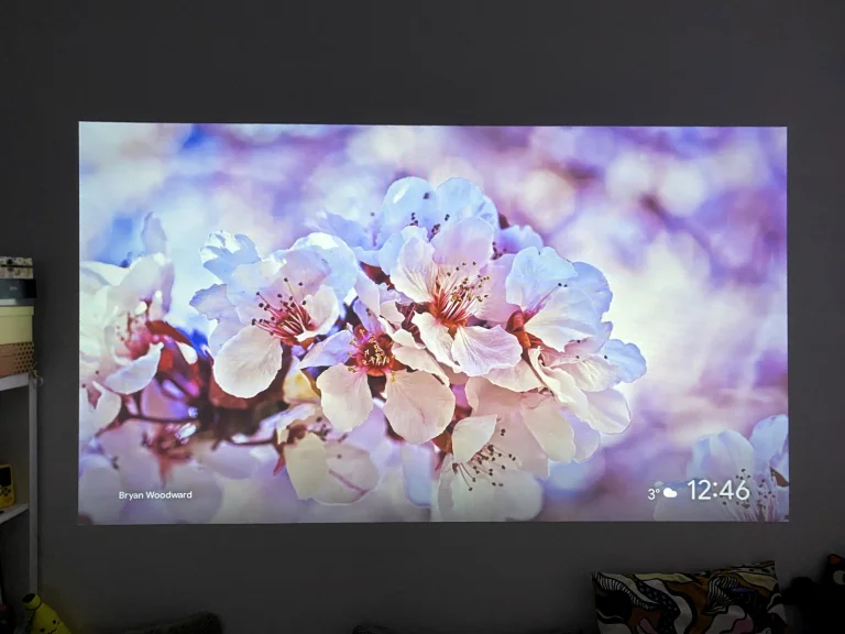 Prueba 34 del proyector ETOE Seal Pro