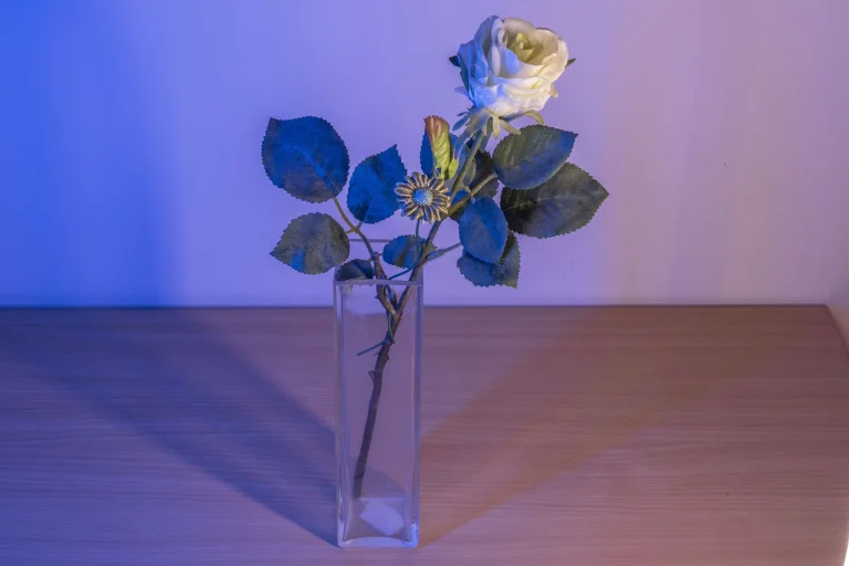 Test de barre lumineuse photo RVB BTFOOR H1/Ulanzi V119 11