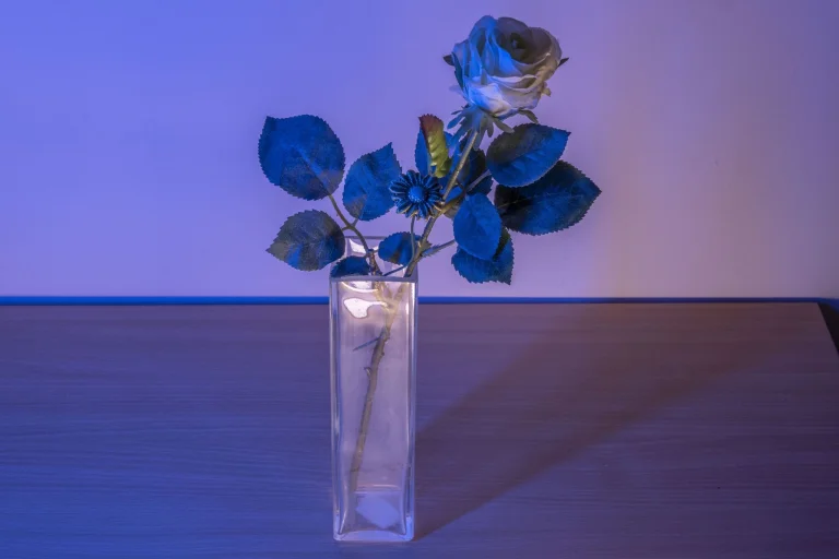 Test de barre lumineuse photo RVB BTFOOR H1/Ulanzi V119 12