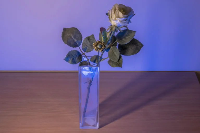 Test de barre lumineuse photo RVB BTFOOR H1/Ulanzi V119 13