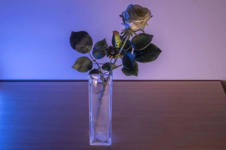 Test de barre lumineuse photo RVB BTFOOR H1/Ulanzi V119 14