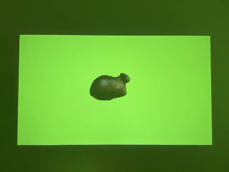 Prueba 9 del proyector BlitzWolf BW-V49