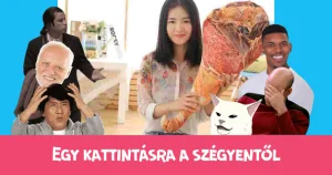 One click away from shame: butcher shop feeling at home