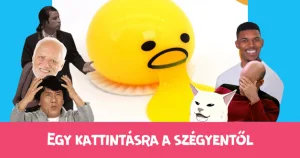 One click away from shame: the puke-filled ball face